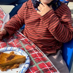 Bundle of Zara Boys Long Sleeve Tees (5)